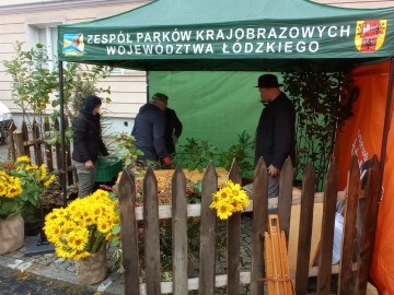 44. Święto Kwiatów, Owoców i Warzyw - w optymistycznym kolorze, 